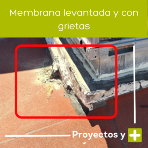 Membrana levantada y con grietas