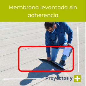 Membrana levantada sin adherencia